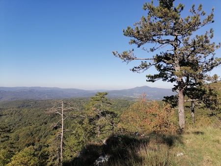 pogled proti Vremščici
